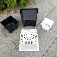 Square Plastic Succulent Planter Pots for Seedling and Desktop Green Plants