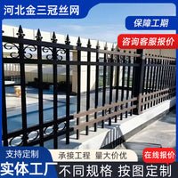 Wrought Iron Fence Panel for Garden Villa Wall Security and Anti-Climb Protection