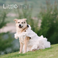 Pet Dog Wedding Dress Cat Princess Skirt Puppy Photography Costume Thin Corgi Clothes