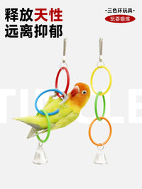 Parrot Swing Toy with Colorful Hanging Rings for Small to Medium Birds