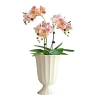 Minimalist Ceramic Planter with Tray for Orchids and Indoor Plants