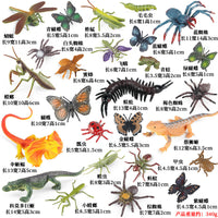 Kids' Educational Insect and Animal Figurines with Observation Box for Halloween and Sand Table Scenes