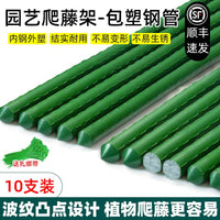 Plant Support Stakes for Climbing Vegetables and Flowers, Coated Steel Garden Trellis Poles