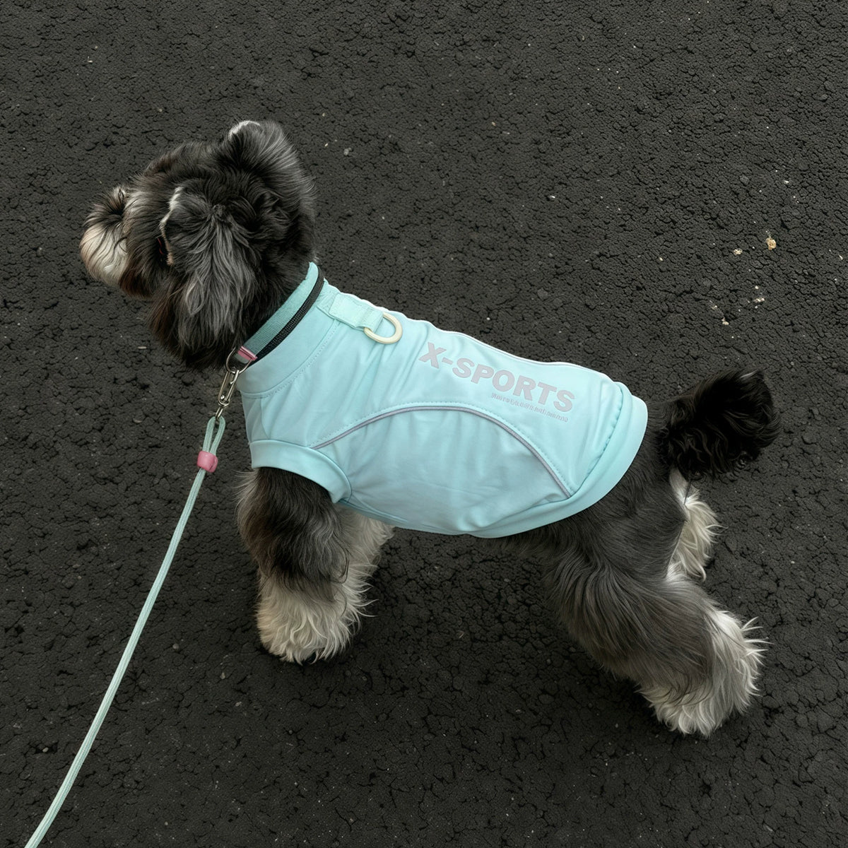 Pet Cooling Vest for Small Dogs & Cats, Summer Sun Protection & Anti-Shedding