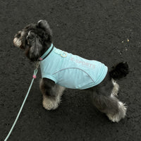 Pet Cooling Vest for Small Dogs & Cats, Summer Sun Protection & Anti-Shedding