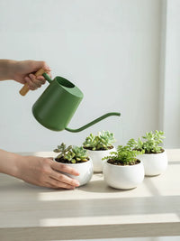 Nordic Style Stainless Steel Watering Can with Wooden Handle, Long Spout, 1000ml