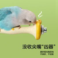Parrot Apple Core Perch Chew Toy for Claw Grinding and Entertainment