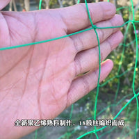 Plant Support Netting for Climbing Vines and Garden Trellis, Anti-Toppling Grid Net