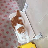 Breathable Mesh Cat Window Hammock - Foldable Suction Cup Mounted Perch for Cats