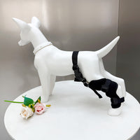 Adjustable Breathable Dog Rear Leg Brace for Joint and Knee Support