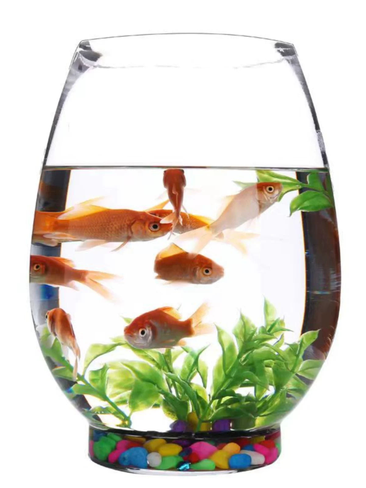 Creative Glass Fish Tank for Desktop, Small Round Aquarium for Goldfish and Turtles, Hydroponic Planter