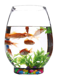 Creative Glass Fish Tank for Desktop, Small Round Aquarium for Goldfish and Turtles, Hydroponic Planter