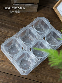 Clear Plastic Orchid Pot with Tray for Root Observation and Propagation