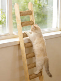 Multi-level Cat Tree Condo with Scratching Post and Perches, Pet Play House Activity Center for Cats