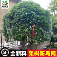 Nylon Bird Netting for Fruit Trees, Orchards, and Ponds - Protective Mesh for Cherries, Grapes, and Aquaculture
