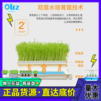 Hydroponic Seedling Tray with Stand for Soilless Cultivation