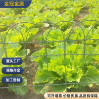 PVC Coated Garden Fence Mesh for Lawn and Garden Enclosures