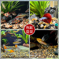 50lb Natural Polished River Pebbles for Aquariums and Landscaping