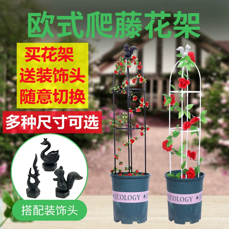 Garden Plant Support Stakes for Climbing Vines, Moonflower, Rose, Clematis, Wisteria - European Style Trellis for Balcony