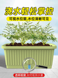 Large Rectangular PP Planter Box for Balcony Vegetable Gardening and Outdoor Flowers