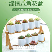 Thickened Octagonal Plastic Succulent Planter Pot for Home Gardening and Seedling Propagation