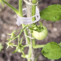 Plant Vine Clips for Garden Support, Trellis, and Seedling Fixing