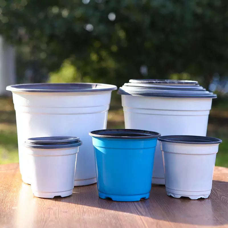 Disposable Two-Tone Nursery Pots for Seedlings and Succulents, Plastic Planters for Home Gardening