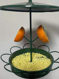 Outdoor Hanging Metal Bird Feeder for Fruit and Seeds
