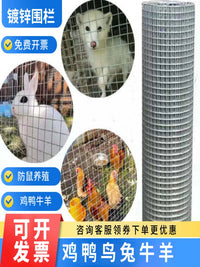 Galvanized Steel Wire Mesh Fence for Poultry, Rabbit, Bird Enclosures, Garden Barriers, and Rodent Protection