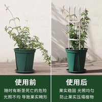 Garden Plant Support Trellis for Climbing Flowers - Rose, Clematis, Wisteria