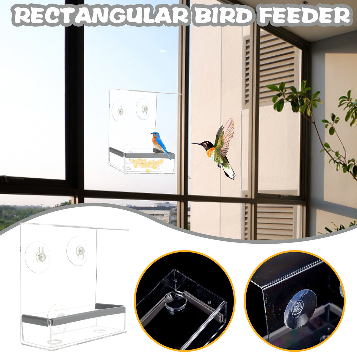 Acrylic Window Bird Feeder with Suction Cups