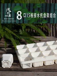 Thickened Square Plastic Succulent Planter with 15-Cell Drip Tray for Seedling Propagation
