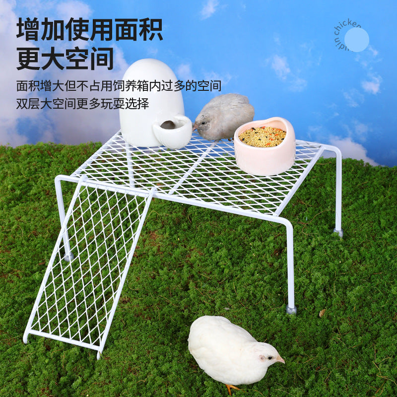 Quail Feeding and Watering Supplies, Landscape Platform, Grid Hollow Ladder, Dining Table, Layered Storage Rack Set
