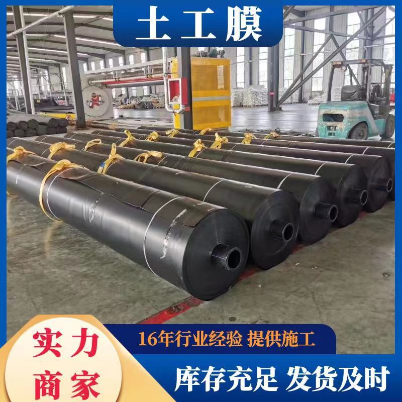 HDPE Geomembrane Pond Liner for Fish Ponds - Puncture & Aging Resistant