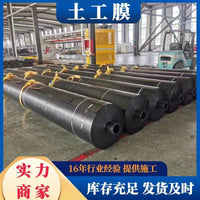 HDPE Geomembrane Pond Liner for Fish Ponds - Puncture & Aging Resistant