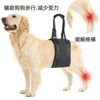 Pet Dog Rear Leg Support Harness for Injured or Weak Legs