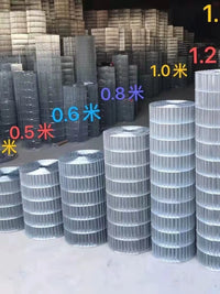 Galvanized Welded Wire Mesh for Animal Cages - Chicken, Rabbit, Pigeon Coops