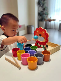 Montessori Color Recognition Fine Motor Skill Training Educational Toy for Toddlers