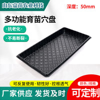 Thickened Seedling Tray with Drainage Holes for Indoor Gardening, Vegetables, Berries, and Succulents