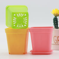 Thickened Square Plastic Succulent Planter Pot with Drainage Tray, Korean Style Nursery Pot