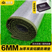 Thickened Aluminum Film Beach Mat for Outdoor Camping and Picnics