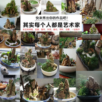 Absorbent Rock Bonsai Landscape Ornament for Micro-Landscape Aquariums and Gardens