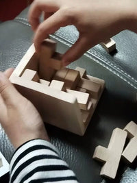 3D Interlocking Brain Teaser Puzzle Cube for Kids and Adults