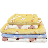 Pet Flannel Fleece Blanket Mat for Cats and Dogs, Thickened Winter Warm Sleep Pad, All-Season