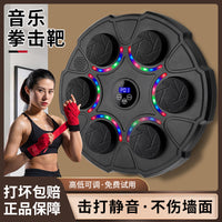 Smart Music Boxing Machine Wall Target for Adults & Kids, Electronic Reaction Training Pad with Colorful Lights