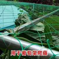 Plant Trellis Netting for Climbing Vines, Fruits, and Flowers - Garden Support Net