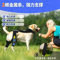Dog Knee Brace for Post-Surgery Recovery and Support