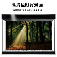 3D Forest Sunlight Aquarium Background Sticker Self-Adhesive Fish Tank Decoration
