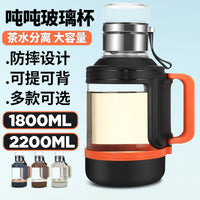 Large Capacity Borosilicate Glass Water Bottle with Tea Infuser and Handle for Sports and Outdoors