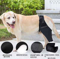 Pet Dog Leg Brace for Injury Recovery and Support